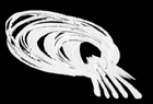 Associazione Qanat - Teatro di Strada